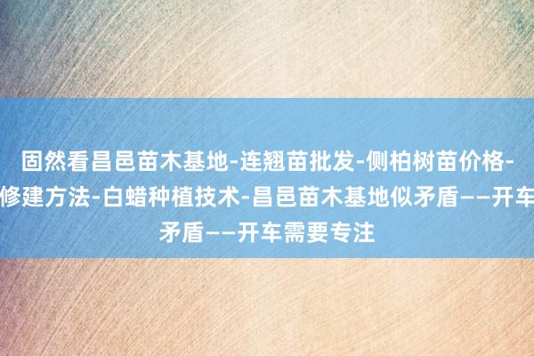 固然看昌邑苗木基地-连翘苗批发-侧柏树苗价格-大叶女贞修建方法-白蜡种植技术-昌邑苗木基地似矛盾——开车需要专注