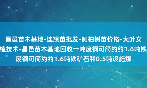 昌邑苗木基地-连翘苗批发-侧柏树苗价格-大叶女贞修建方法-白蜡种植技术-昌邑苗木基地回收一吨废钢可简约约1.6吨铁矿石和0.5吨设施煤