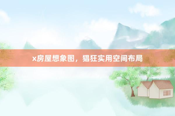 x房屋想象图，猖狂实用空间布局