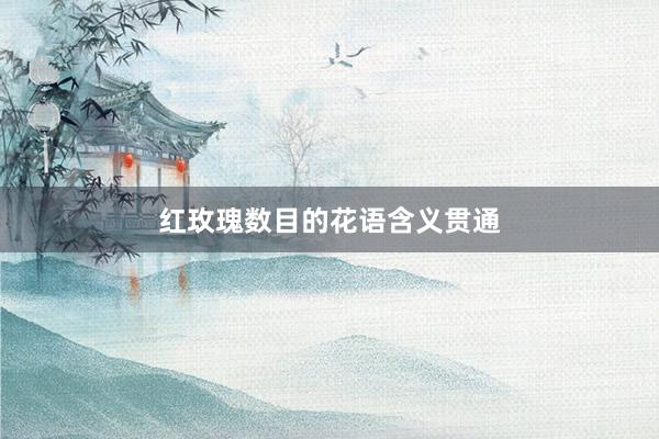 红玫瑰数目的花语含义贯通