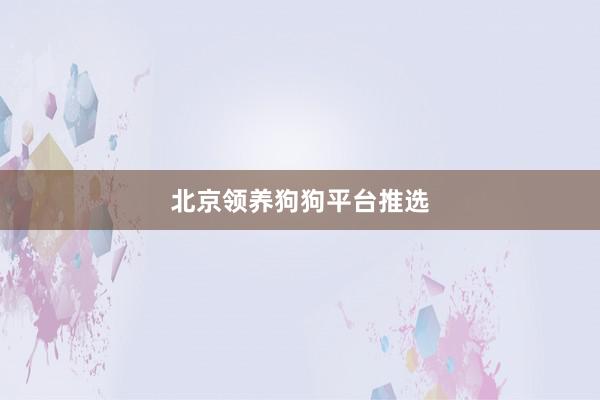 北京领养狗狗平台推选