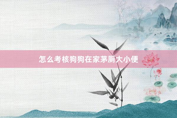 怎么考核狗狗在家茅厕大小便